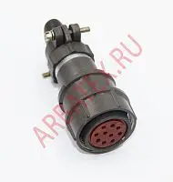 2РМД24КПН10Г5В1 розетка фото